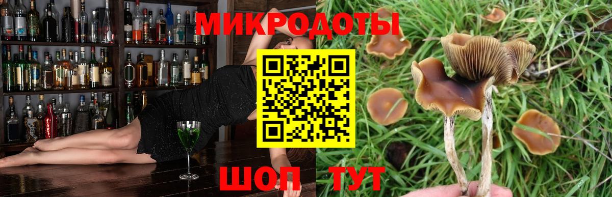 Калининград  Галлюциногенные грибы MAGIC MUSHROOMS  Вход с VPN  Галлюциногенные грибы MAGIC MUSHROOMS 