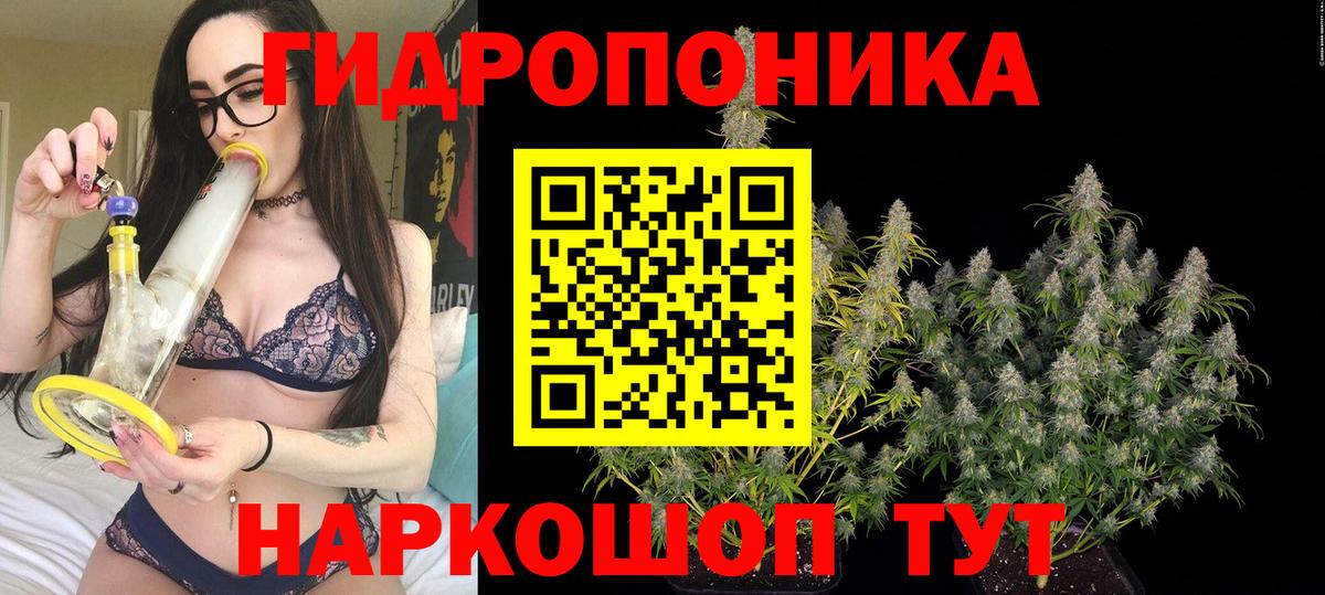Марихуана план  Конопля LSD WEED  Калининград  Вход с VPN  Каннабис Bruce Banner  Бошки Шишки ГИДРОПОН 
